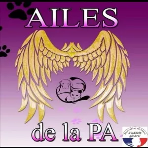 AILES DE LA PA